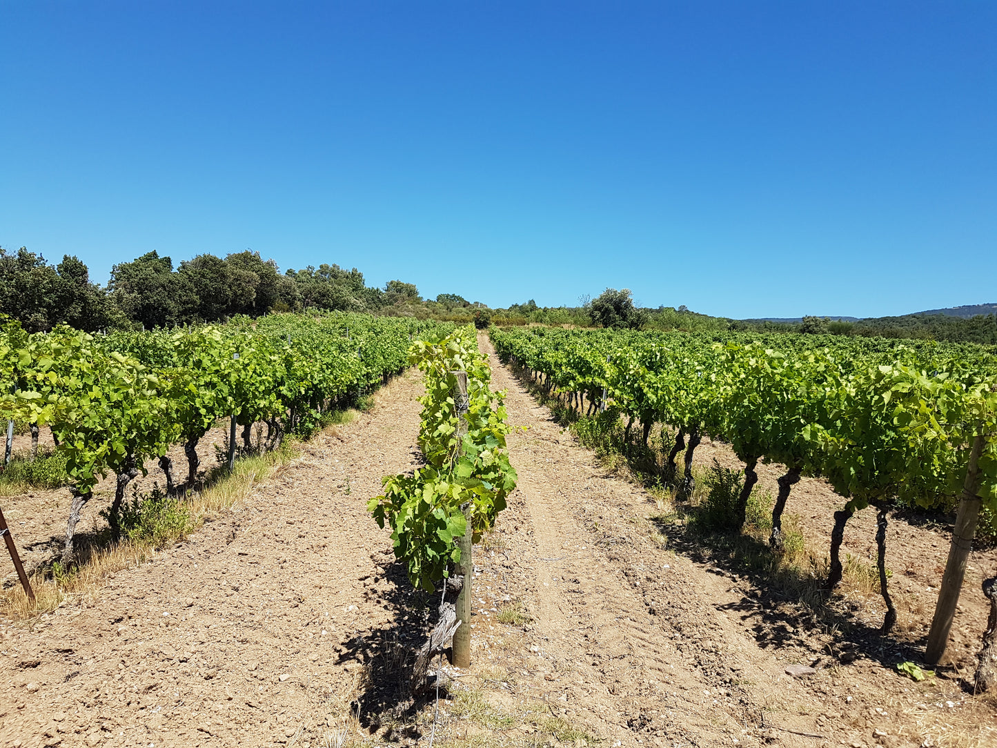 Carte Cadeau À la Découverte du Minervois