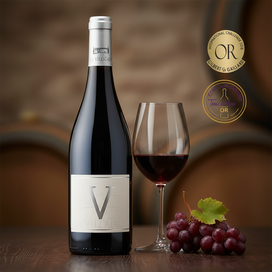 vin-minervois-france-vin-rouge-minervois-vin-languedoc-france-vin-sud-france-vin-rouge-elegant-vin-fruite-minervois-vin-terroir-minervois-vignoble-minervois-france-domaine-viticole-minervois-vignoble-languedoc-france-vin-aude-france-vin-carcassonne-france-degustation-vin-minervois-degustation-vin-carcassonne-oenotourisme-minervois-tourisme-viticole-aude-vin-authentique-minervois-vin-terroir-sud-france-vin-rouge-languedoc-vin-rouge-aromatique-vin-rouge-gourmand-vin-rouge-structure-vin-france-minervois-vin-su