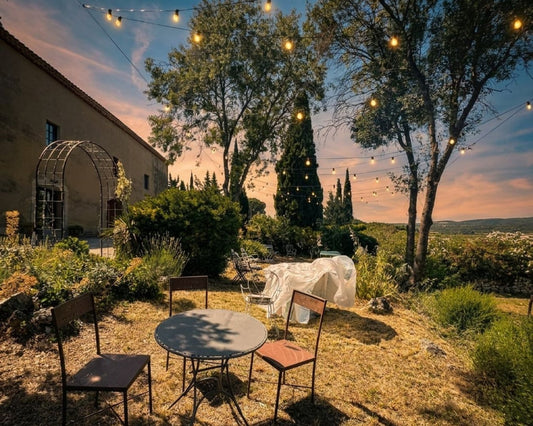 comment choisir un Minervois selon vos goûts et vos repas ?