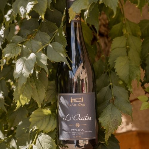 Comment organiser une dégustation de vin Minervois réussie ?