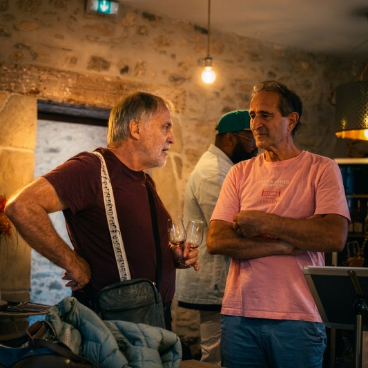 Vin à Carcassonne : où découvrir un vrai vin du Minervois dans un cadre authentique ?