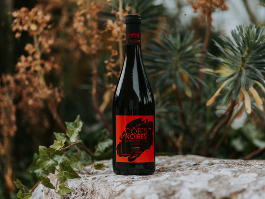 AOC Minervois : Tout Savoir sur l'Appellation, la Dégustation et la Vente de Vin près de Carcassonne