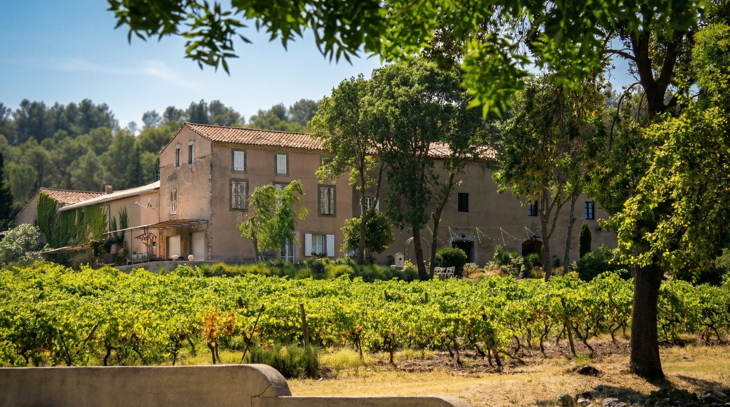 vin-minervois-france-vin-rouge-minervois-vin-languedoc-france-vin-sud-france-vin-rouge-elegant-vin-fruite-minervois-vin-terroir-minervois-vignoble-minervois-france-domaine-viticole-minervois-vignoble-languedoc-france-vin-aude-france-vin-carcassonne-france-degustation-vin-minervois-degustation-vin-carcassonne-oenotourisme-minervois-tourisme-viticole-aude-vin-authentique-minervois-vin-terroir-sud-france-vin-rouge-languedoc-vin-rouge-aromatique-vin-rouge-gourmand-vin-rouge-structure-vin-france-minervois-vin-su